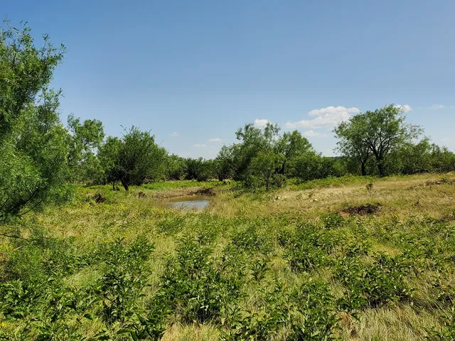 a view of a field of grass and trees
