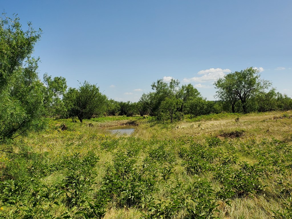41 Hackberry Street, Unit 41 Fort McKavett, TX 76841 - Photo 9 of 9 a view of a field of grass and trees