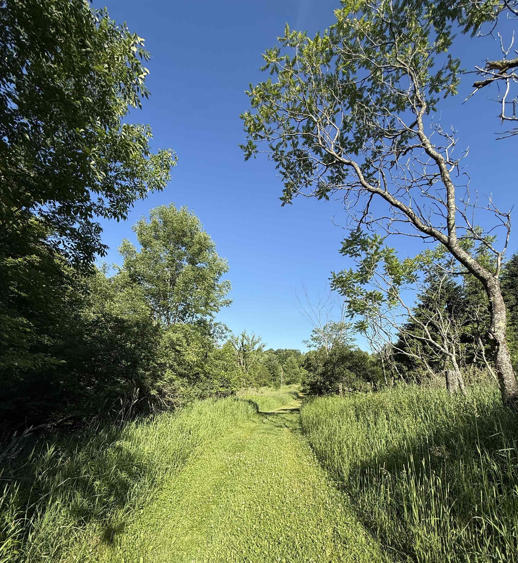 N6559 River Road Wittenberg, WI 54499 - Photo 11 of 18