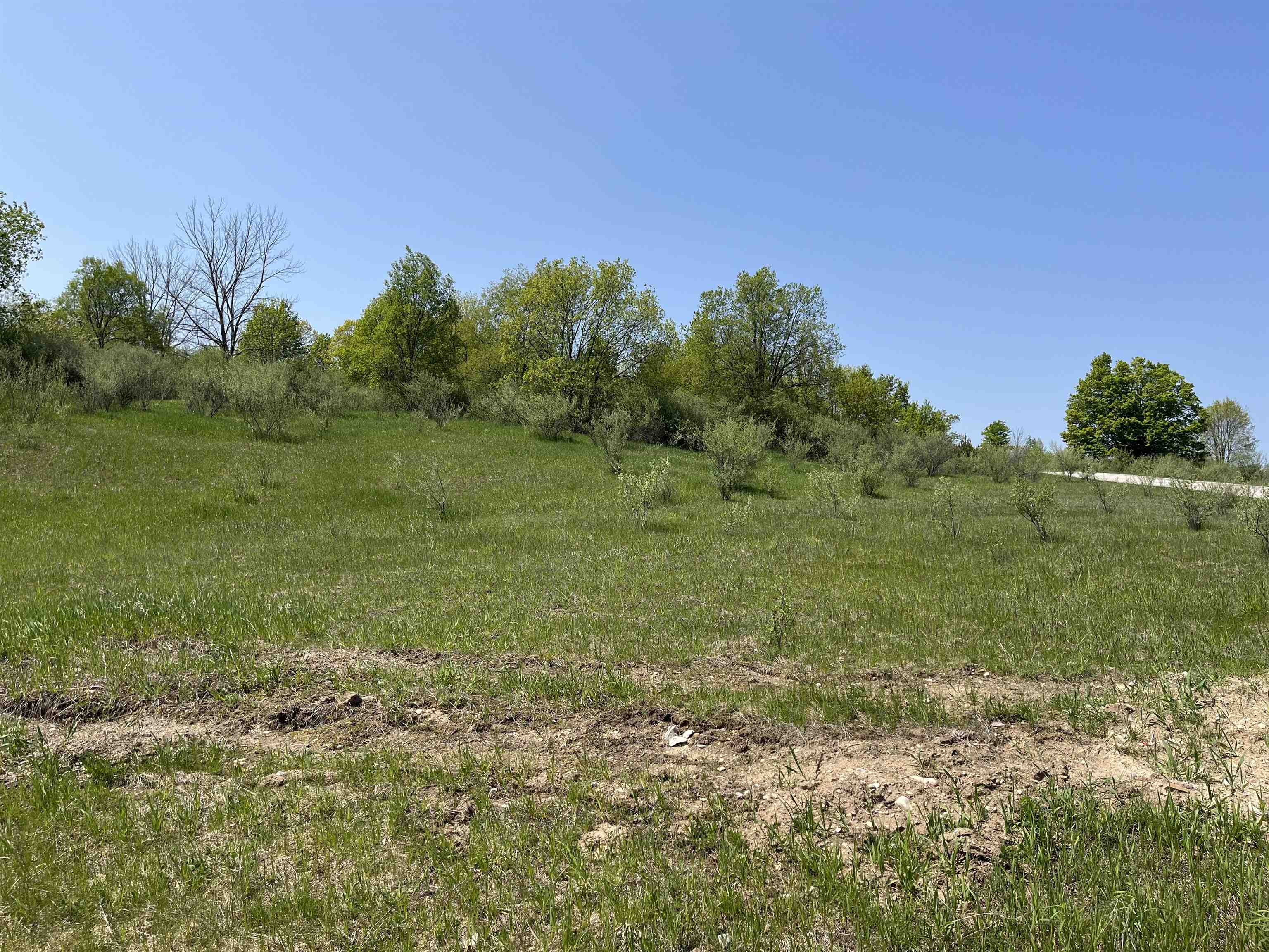 Lot 45 Florey's Ranch Road, Unit LOT: 45 Grawn, MI 49637 - Photo 4 of 11