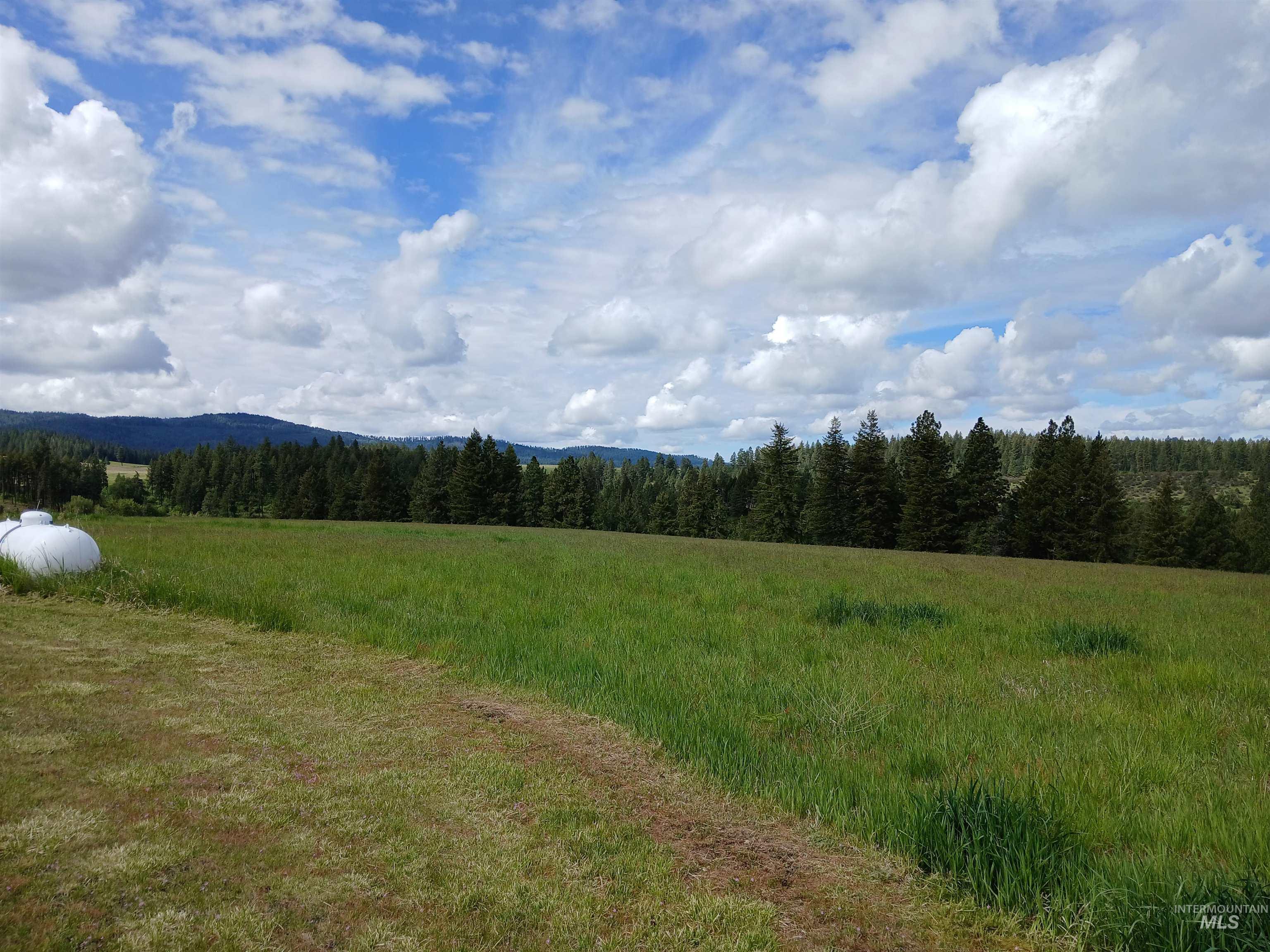 1076 Headrick Road Potlatch, ID 83855 - Photo 5 of 8 Mountain view