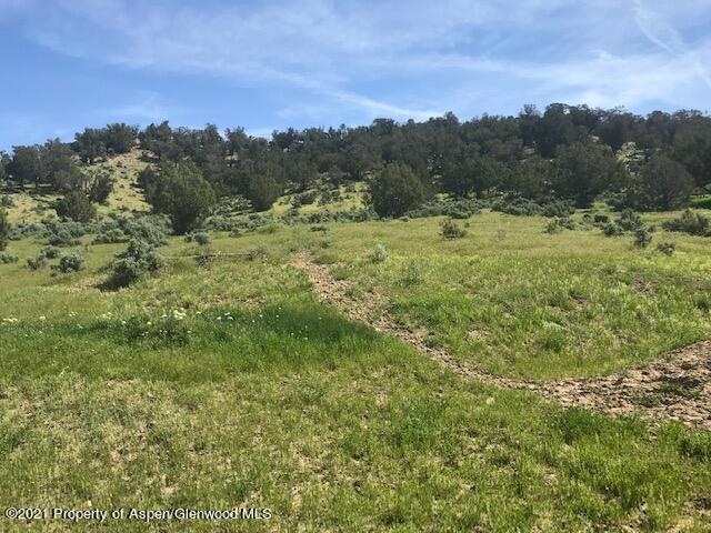300 Faas Ranch Road New Castle, CO 81647 - Photo 1 of 8 Lot 2