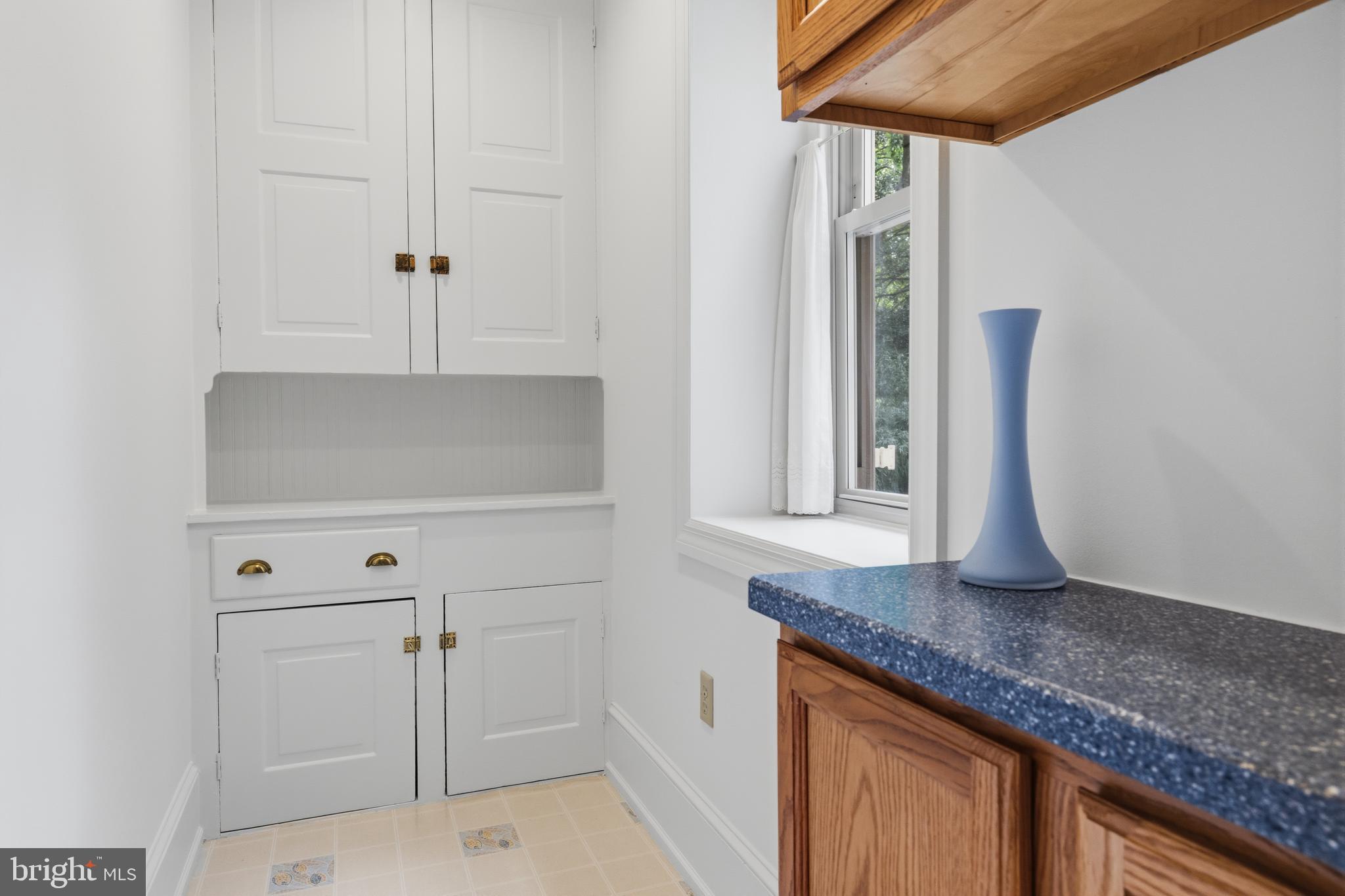 245 Mather Road Jenkintown, PA 19046 - Photo 20 of 71 Butler's pantry