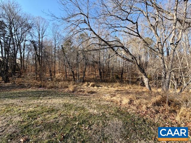 2080 Proffit Station Road Charlottesville, VA 22911 - Photo 20 of 23 Wooded acerage