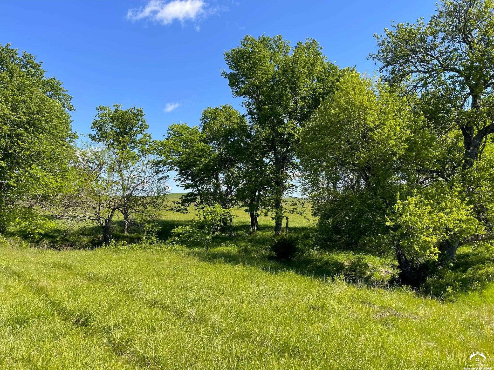 913 North 100th Road Baldwin City, KS 66006 - Photo 13 of 22