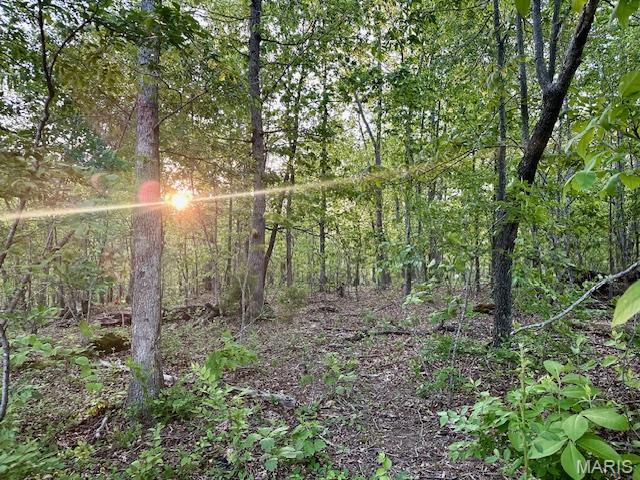 1026 Madison 9285 Fredericktown, MO 63645 - Photo 7 of 33