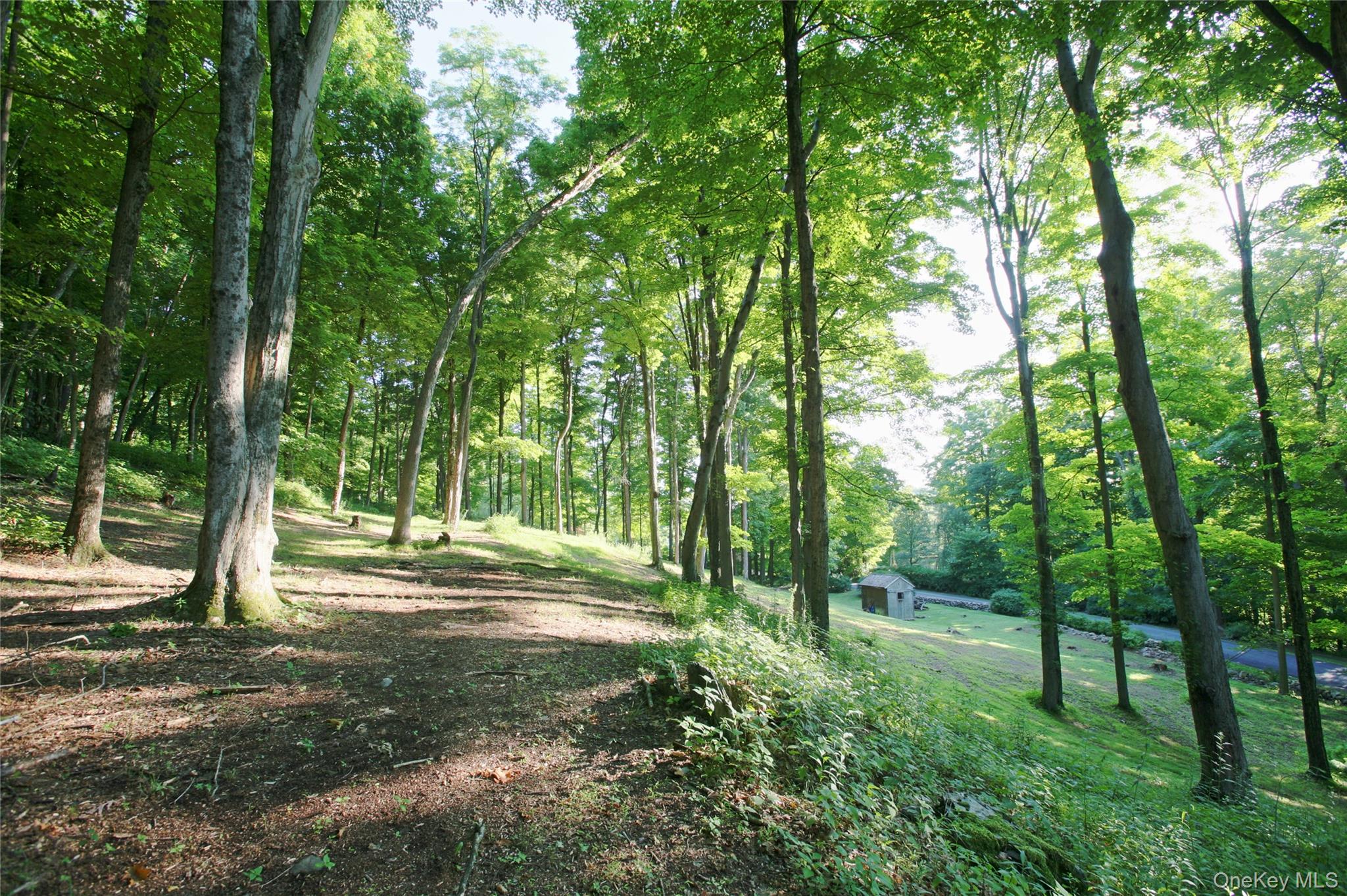 Pond Road Rhinebeck, NY 12572 - Photo 16 of 17 Gallery Image 16