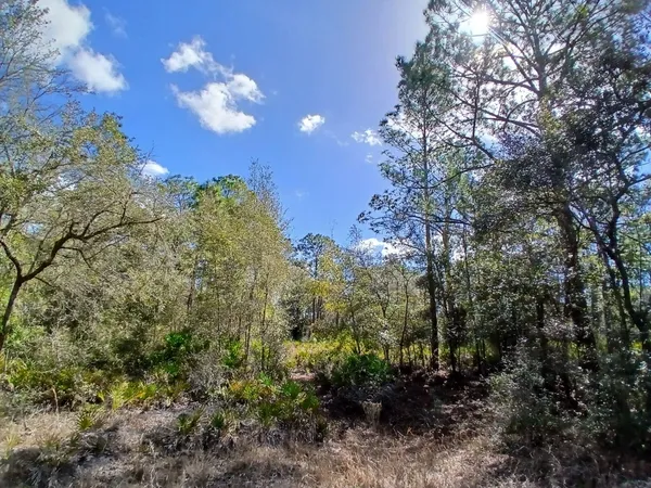 $67,000 | 11991 West Flaxen Drive, Crystal River, FL 34428