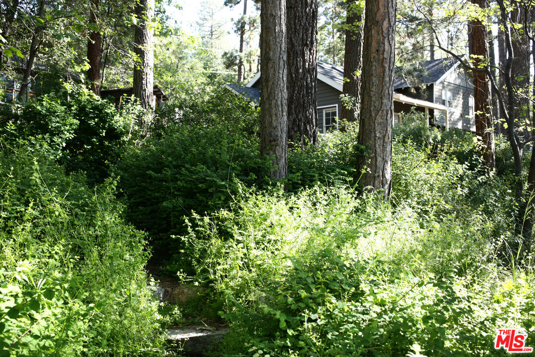 53505 Tollgate Road Idyllwild, CA 92549 - Photo 38 of 42 a view of a garden