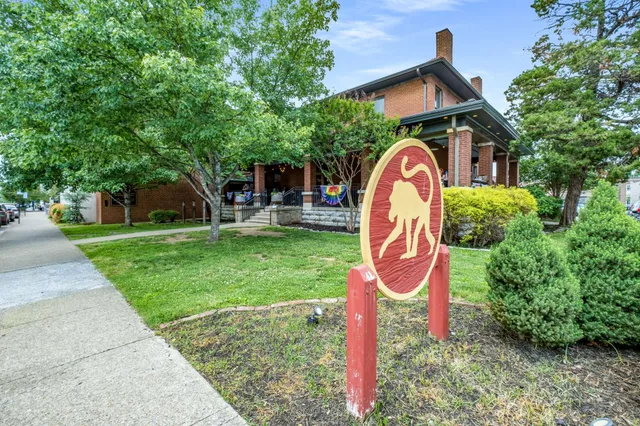 a view of a house with a backyard and a tree