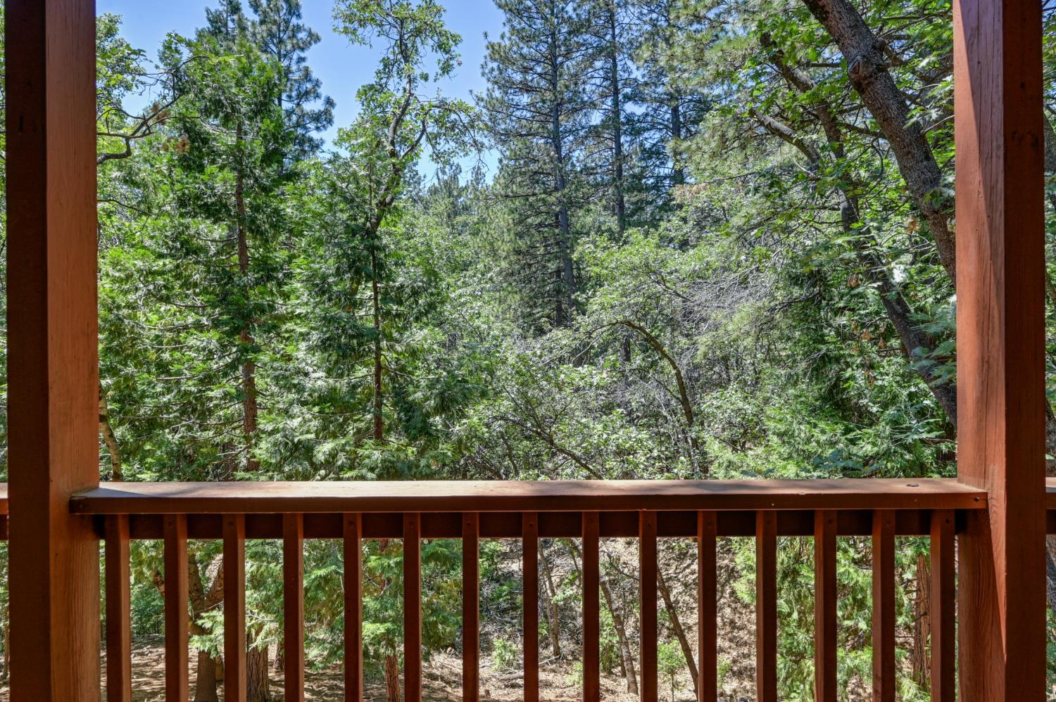 23998 Stable Road Sonora, CA 95370 - Photo 30 of 41 a view of a forest