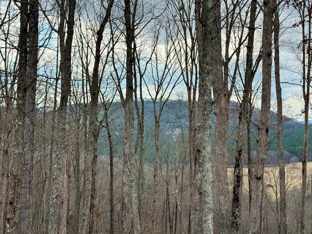 0 Winding Ridge Blairsville, GA 30512 - Photo 18 of 30 Gallery Image 18