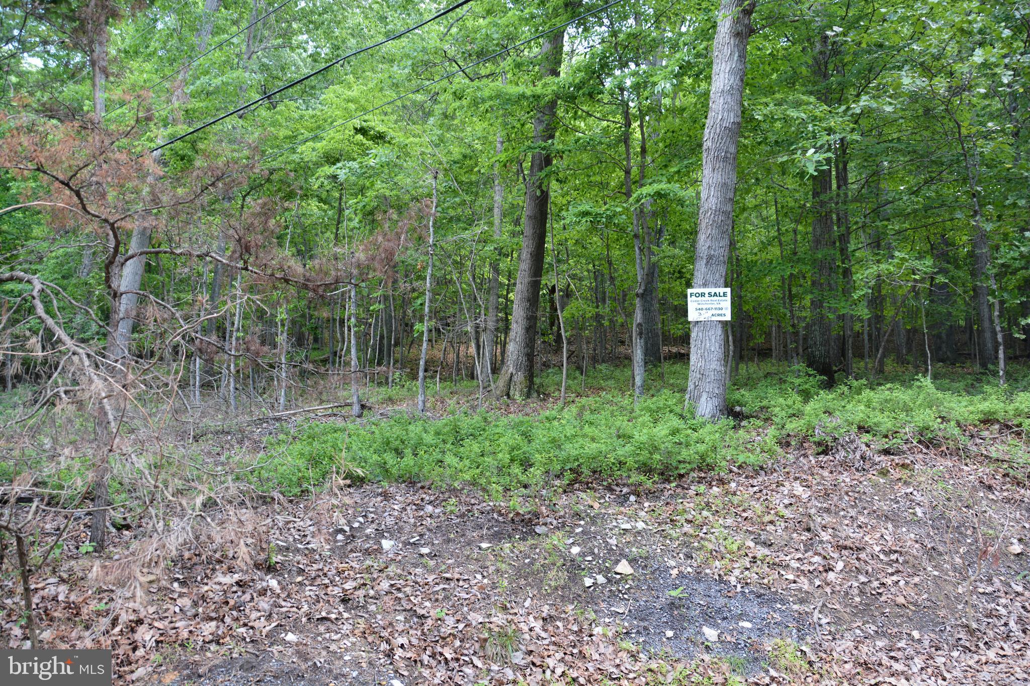 59 60 61 Baldwin Road Front Royal, VA 22630 - Photo 14 of 23