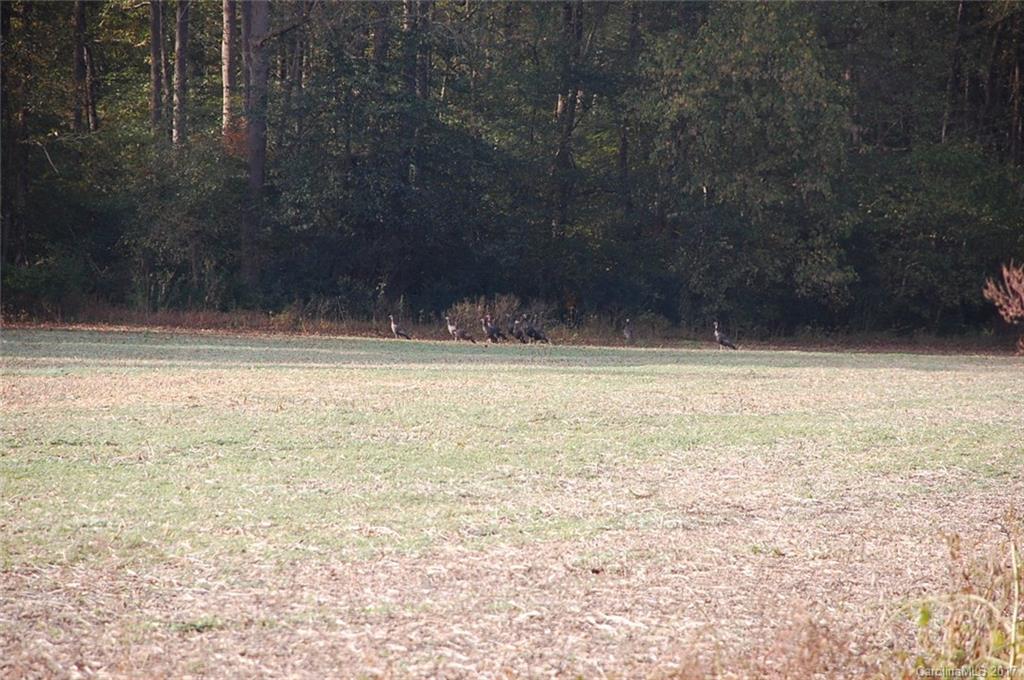 17000 St Martin Road Albemarle, NC 28001 - Photo 14 of 20 Gallery Image 14