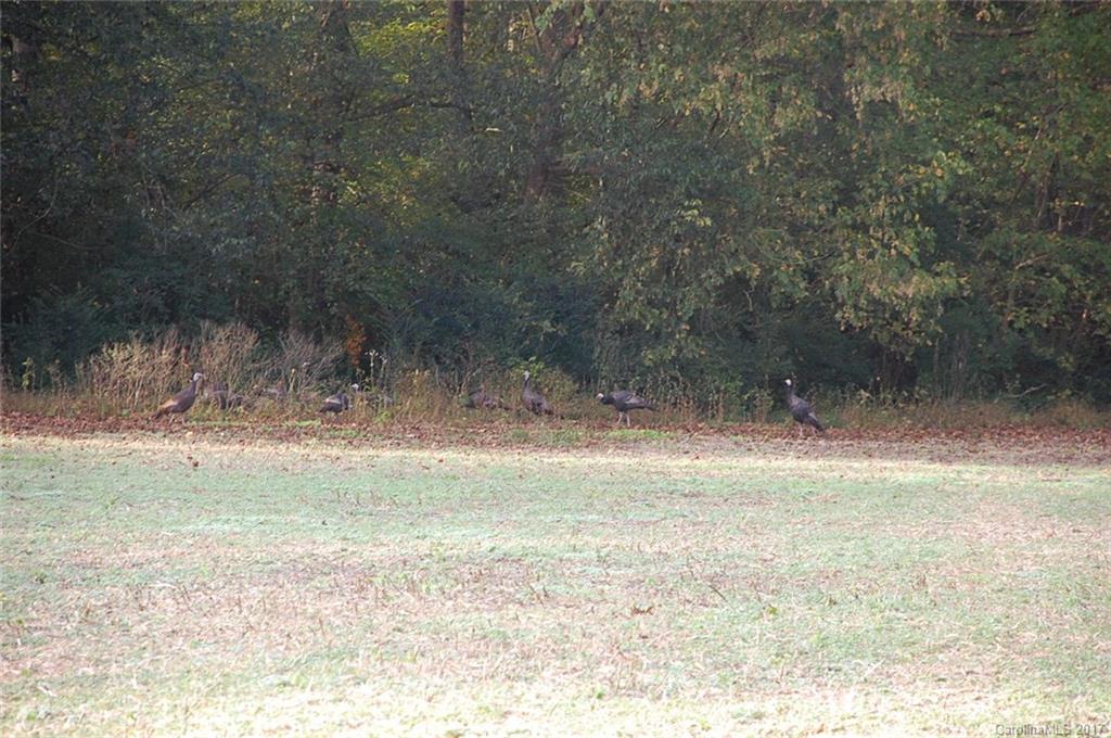 17000 St Martin Road Albemarle, NC 28001 - Photo 16 of 20 Gallery Image 16