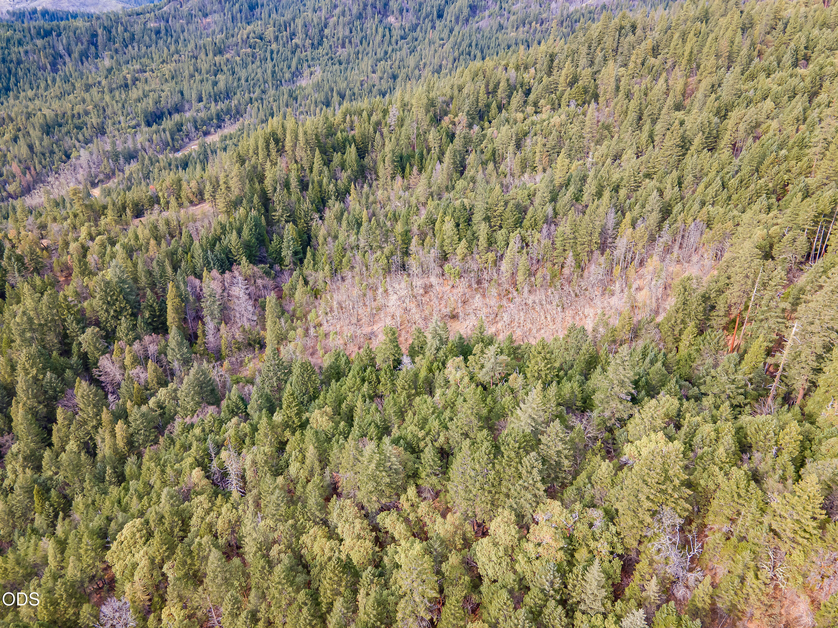 Pleasant Cr Road Rogue River, OR 97537 - Photo 6 of 42