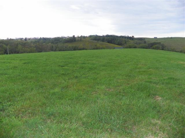 232 Dusty Road Sharpsburg, KY 40374 - Photo 19 of 43 Photo 19
