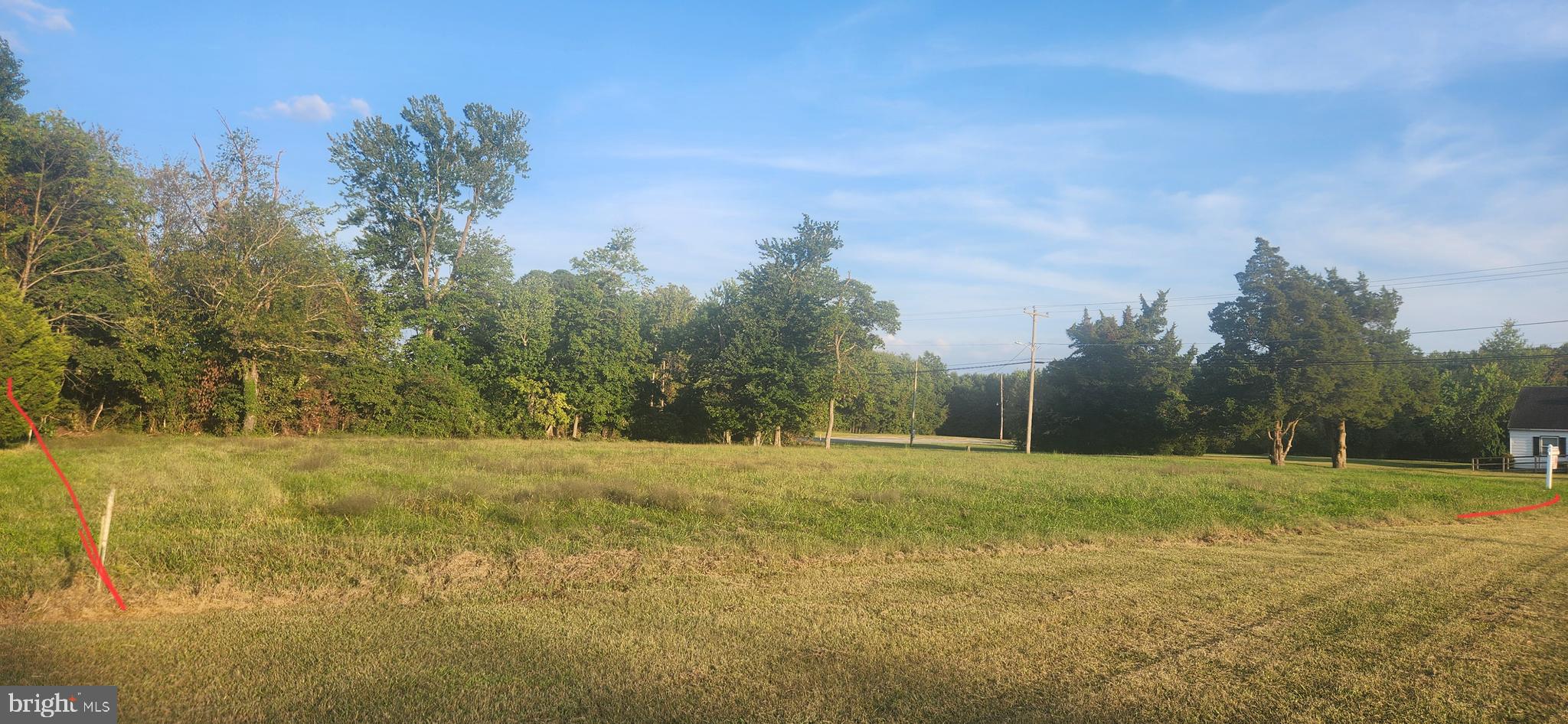 1005 Market Street Denton, MD 21629 - Photo 2 of 3 a view of large trees with a yard