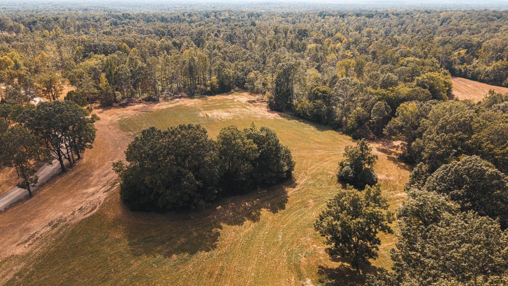 5955 Cloverport Road Toone, TN 38381 - Photo 29 of 40 Gallery Image 29