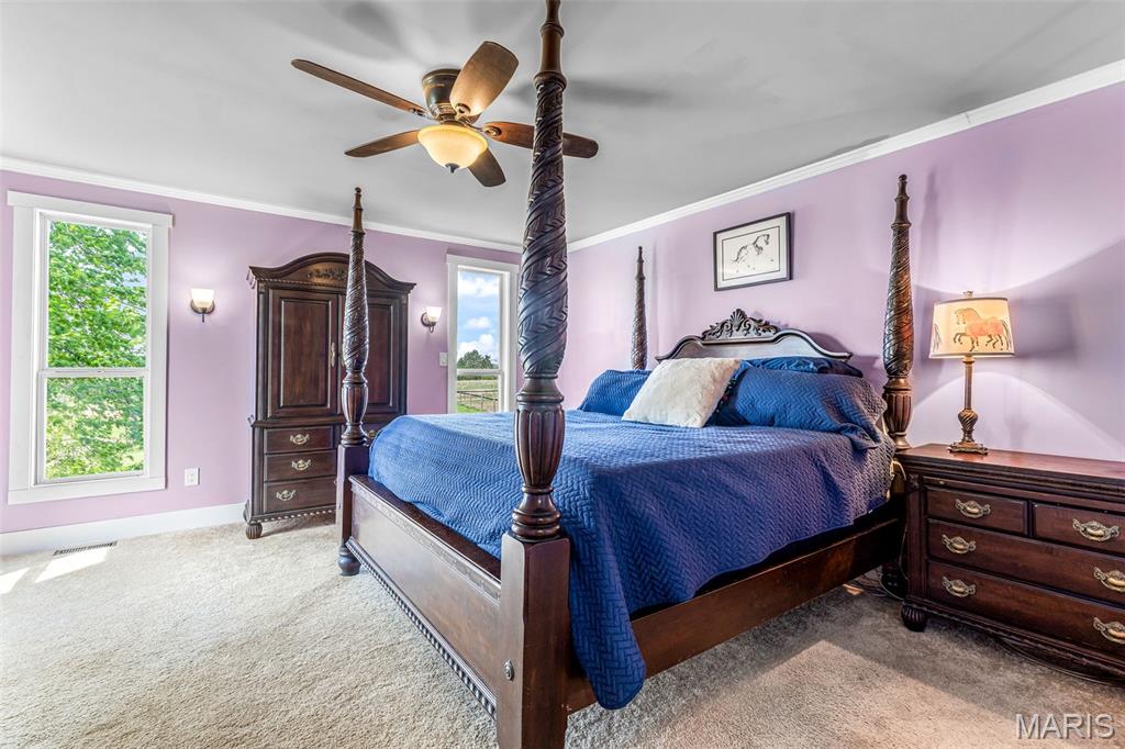 13423 Roth Road Bonne Terre, MO 63628 - Photo 19 of 54 Gallery Image 19