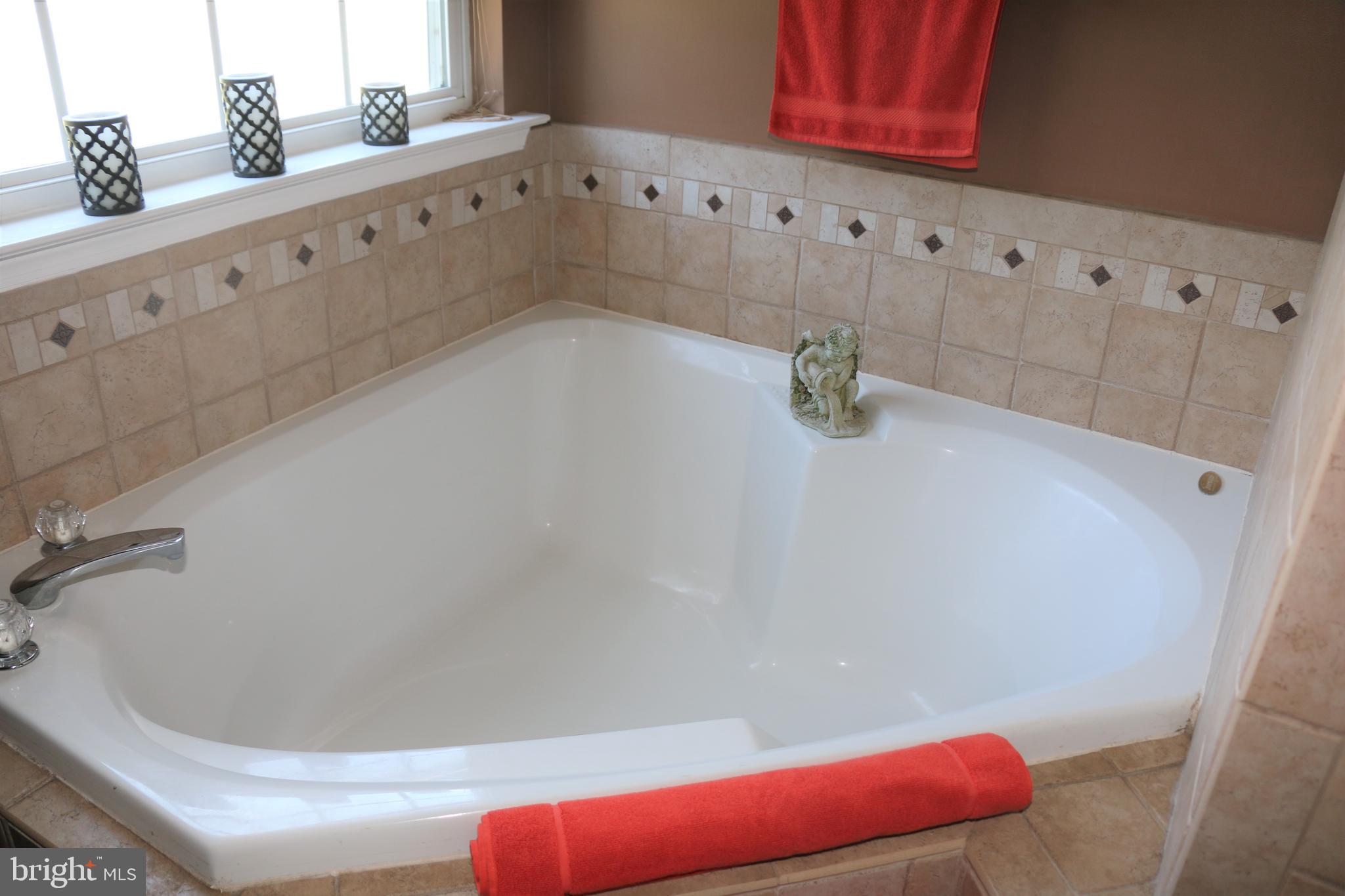 437 Spry Island Road Joppa, MD 21085 - Photo 25 of 57 Soaking tub