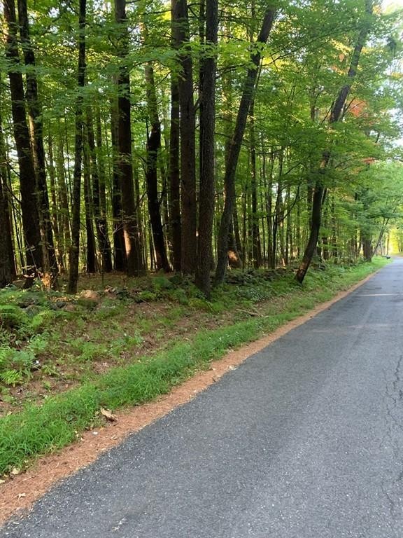 Lot 8 Hisgen Road Holland, MA 01521 - Photo 3 of 3