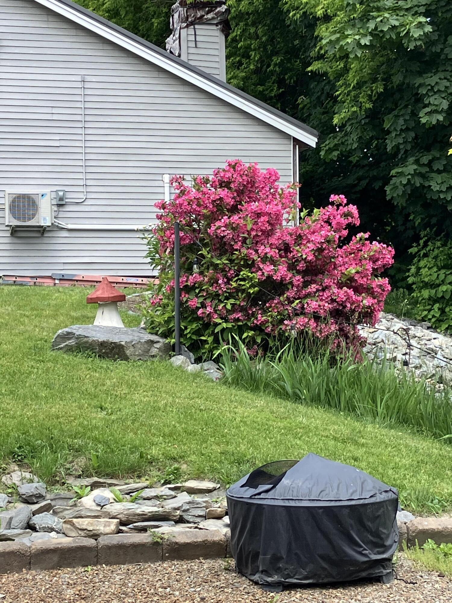 177 Buck Street Bangor, ME 04401 - Photo 14 of 90 IMG_8073