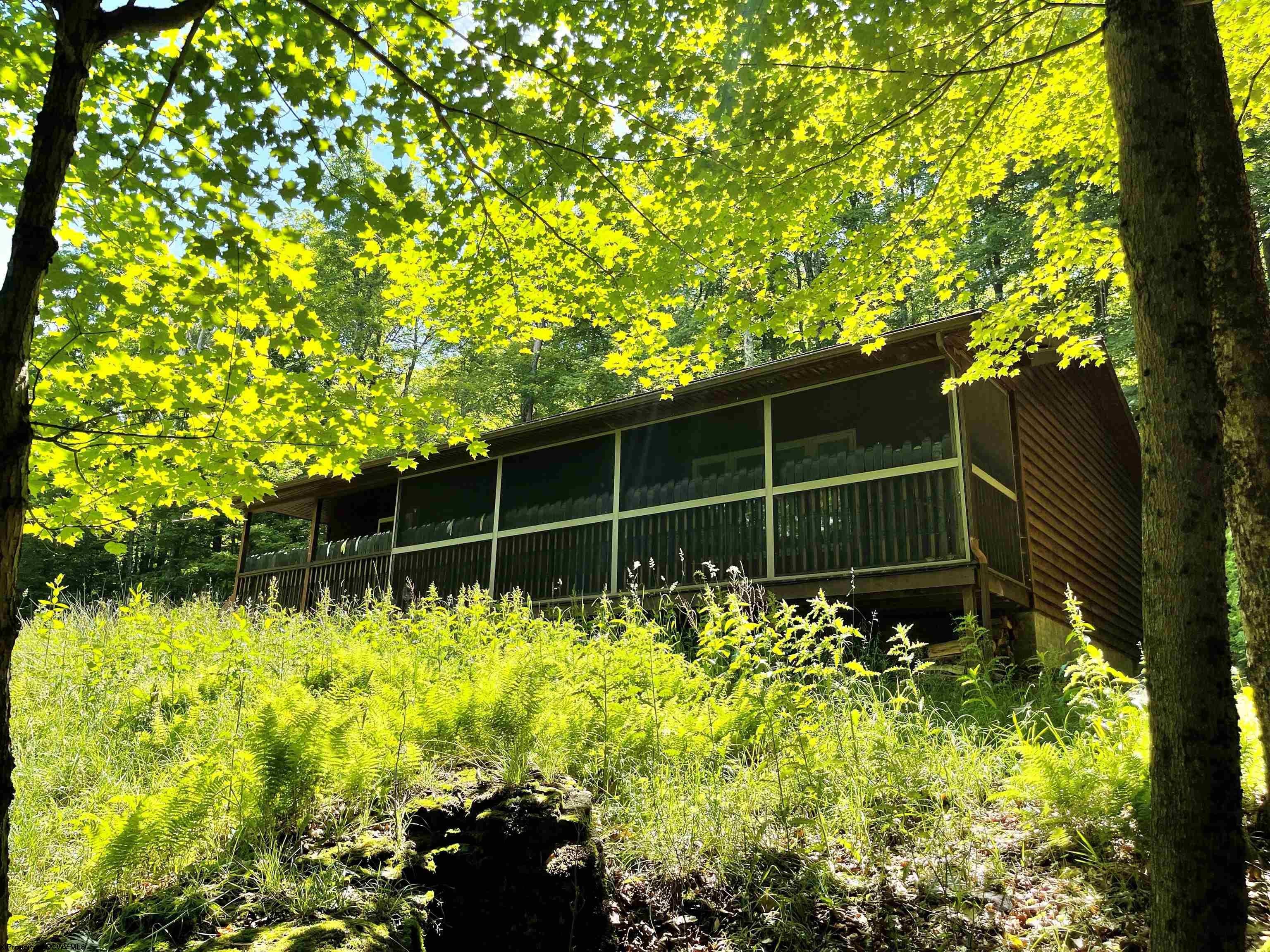958 Ridge Road Davis, WV 26260 - Photo 1 of 20 Gallery Image 1