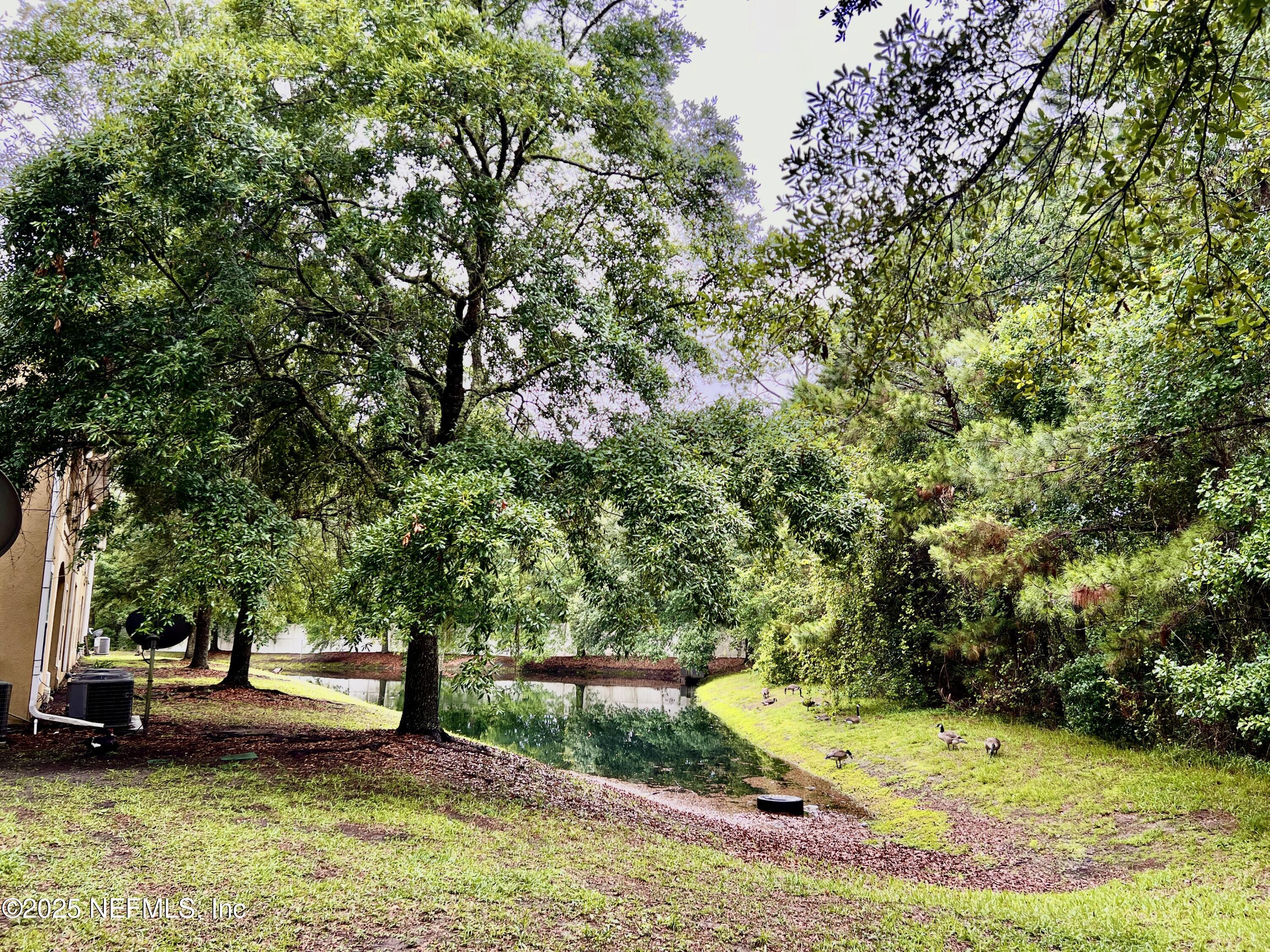 3610 Kirkpatrick Circle, Unit 8 Jacksonville, FL 32210 - Photo 17 of 18 a view of a backyard with swimming pool