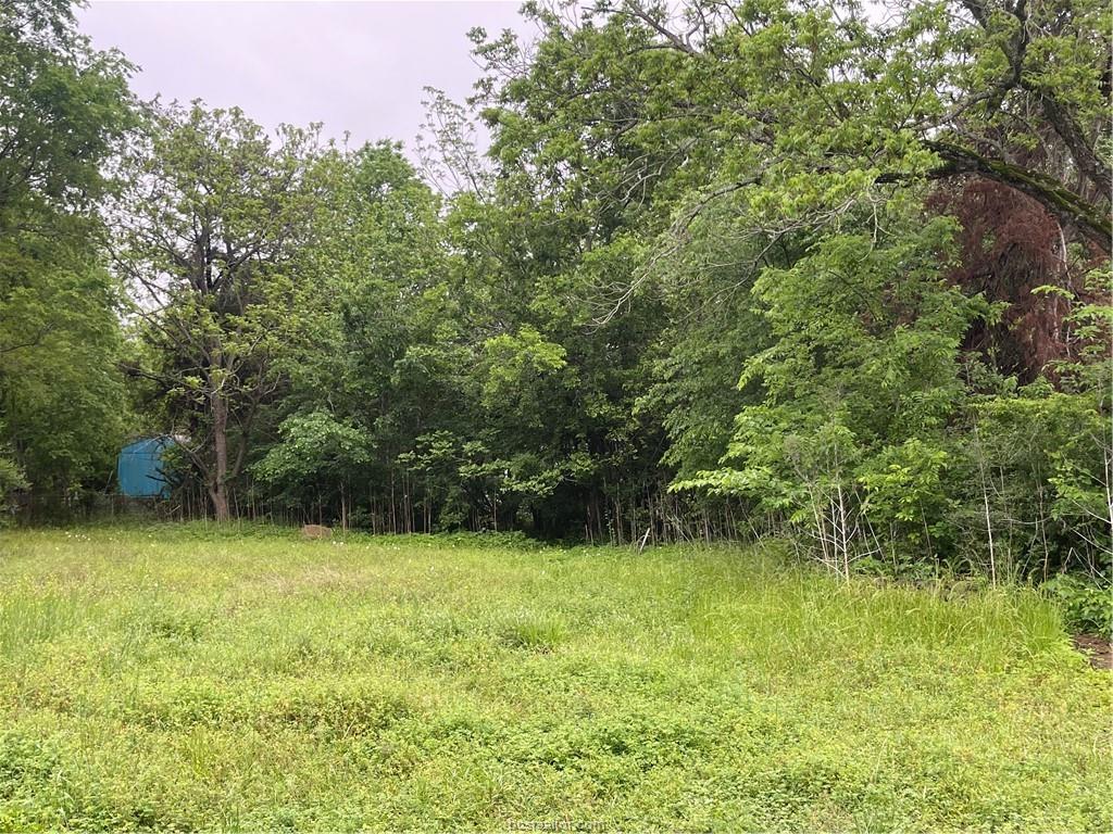 1403 Tisdale Street Bryan, TX 77808 - Photo 6 of 6 a view of a garden