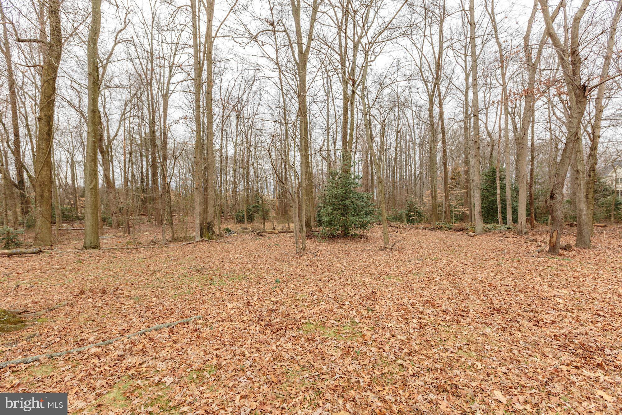 7004 Ridgeway Drive Springfield, VA 22150 - Photo 27 of 28 a view of backyard with trees