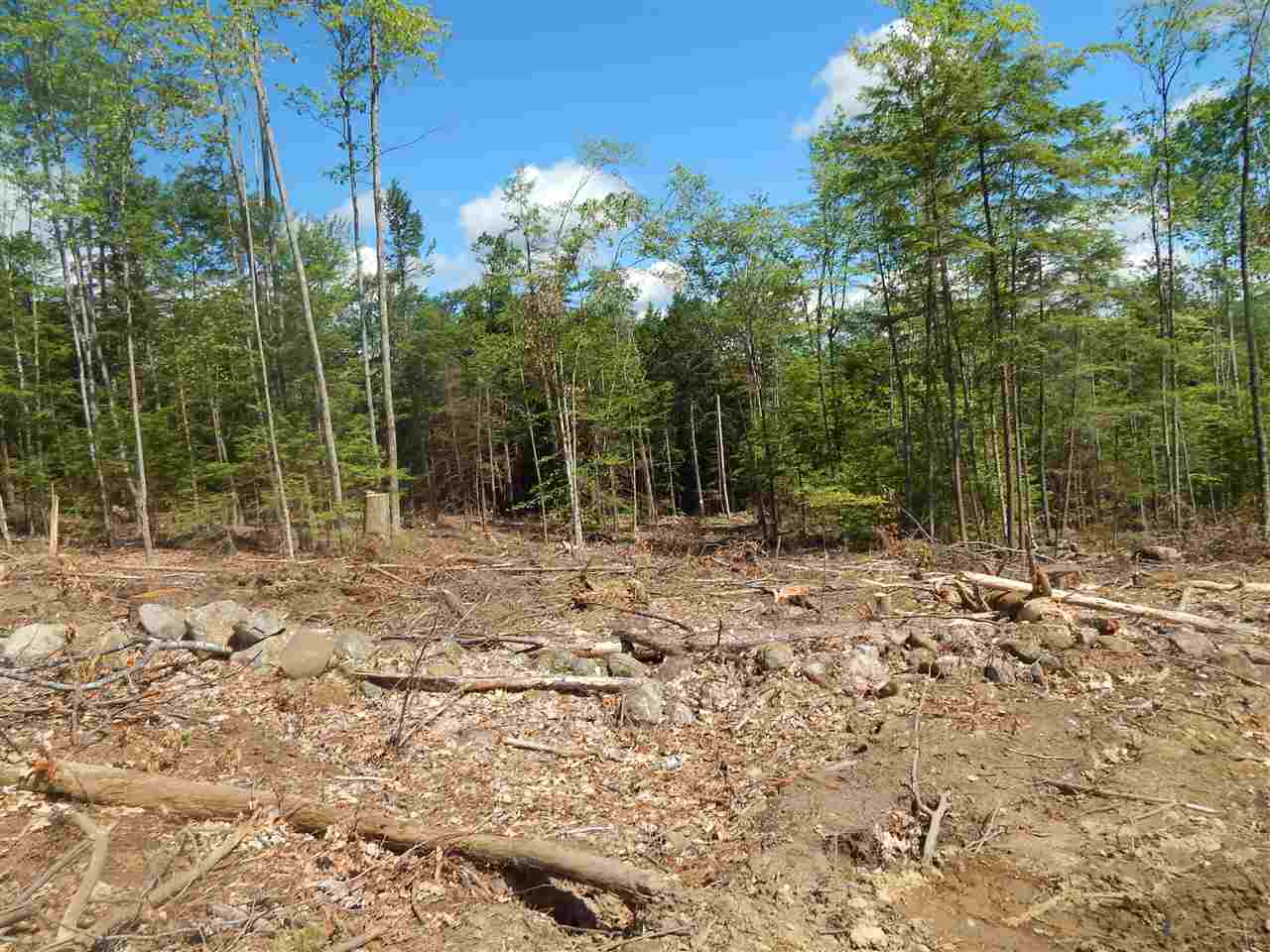 0 Huse/lower Bay Road Sanbornton, NH 03269 - Photo 17 of 27