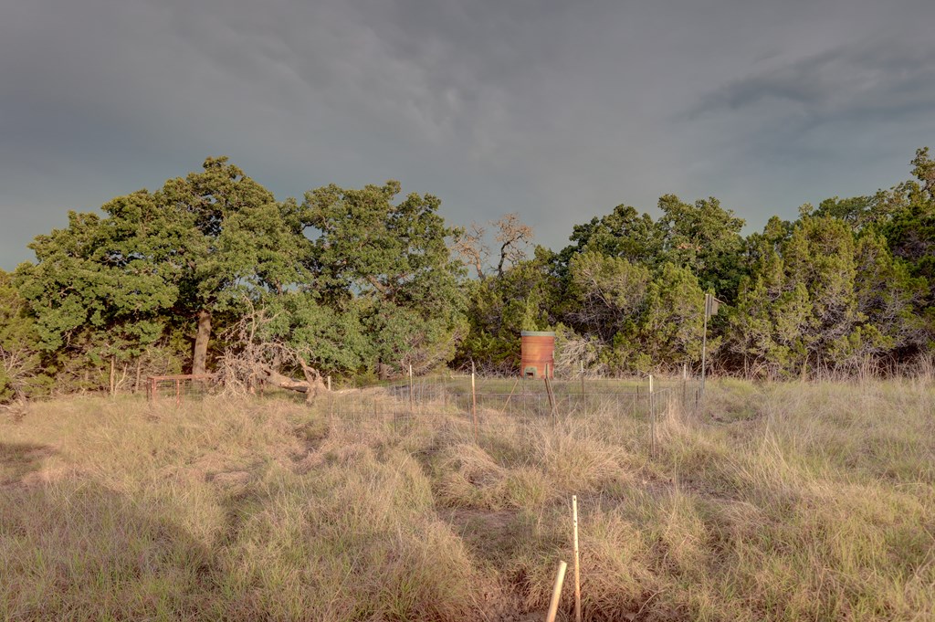 438 Yellowstone Lane Hunt, TX 78024 - Photo 21 of 47