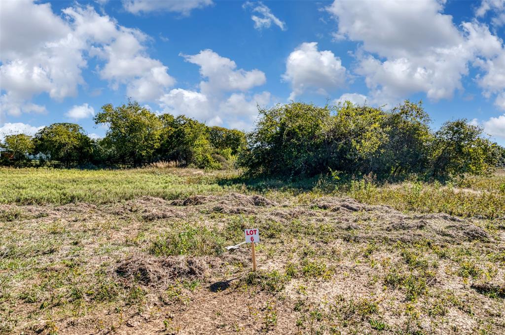 Tbd Wilson Road Perrin, TX 76486 - Photo 11 of 30 a big yard with lots of green space