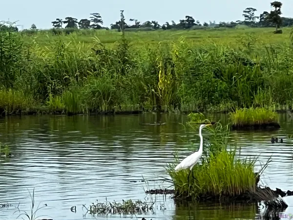 $750,000 | 258 Alligator Lane, La Place, LA 70068