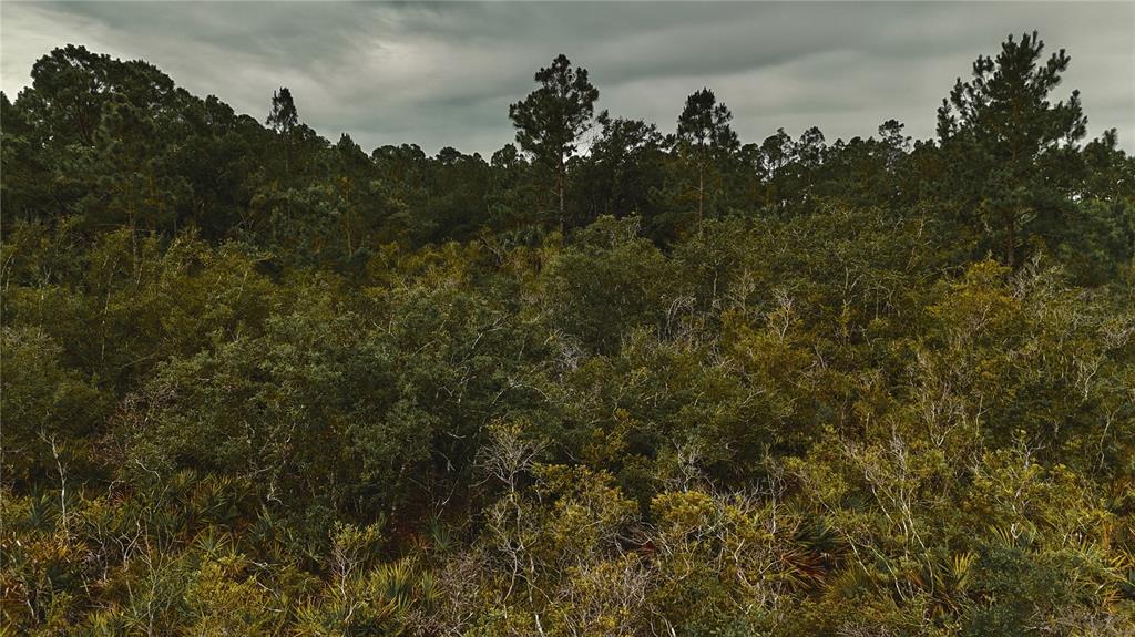 10-11 Adams Beach Road Perry, FL 32348 - Photo 25 of 38