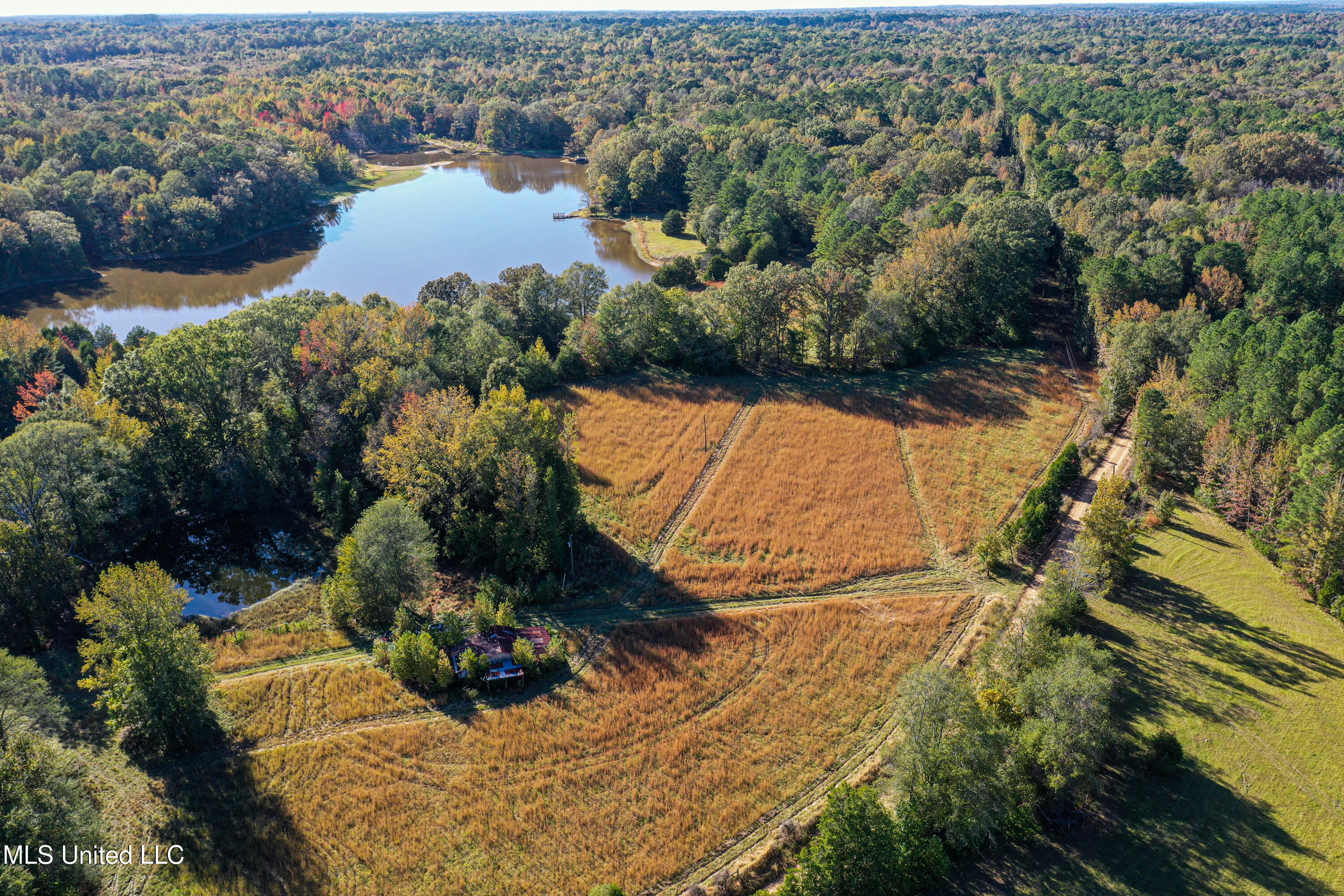 143 County Road Coila, MS 38923 - Photo 12 of 77 DJI_0459