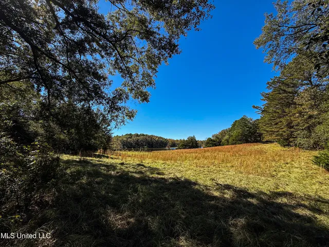 $280,000 | 143 County Road, Coila, MS 38923