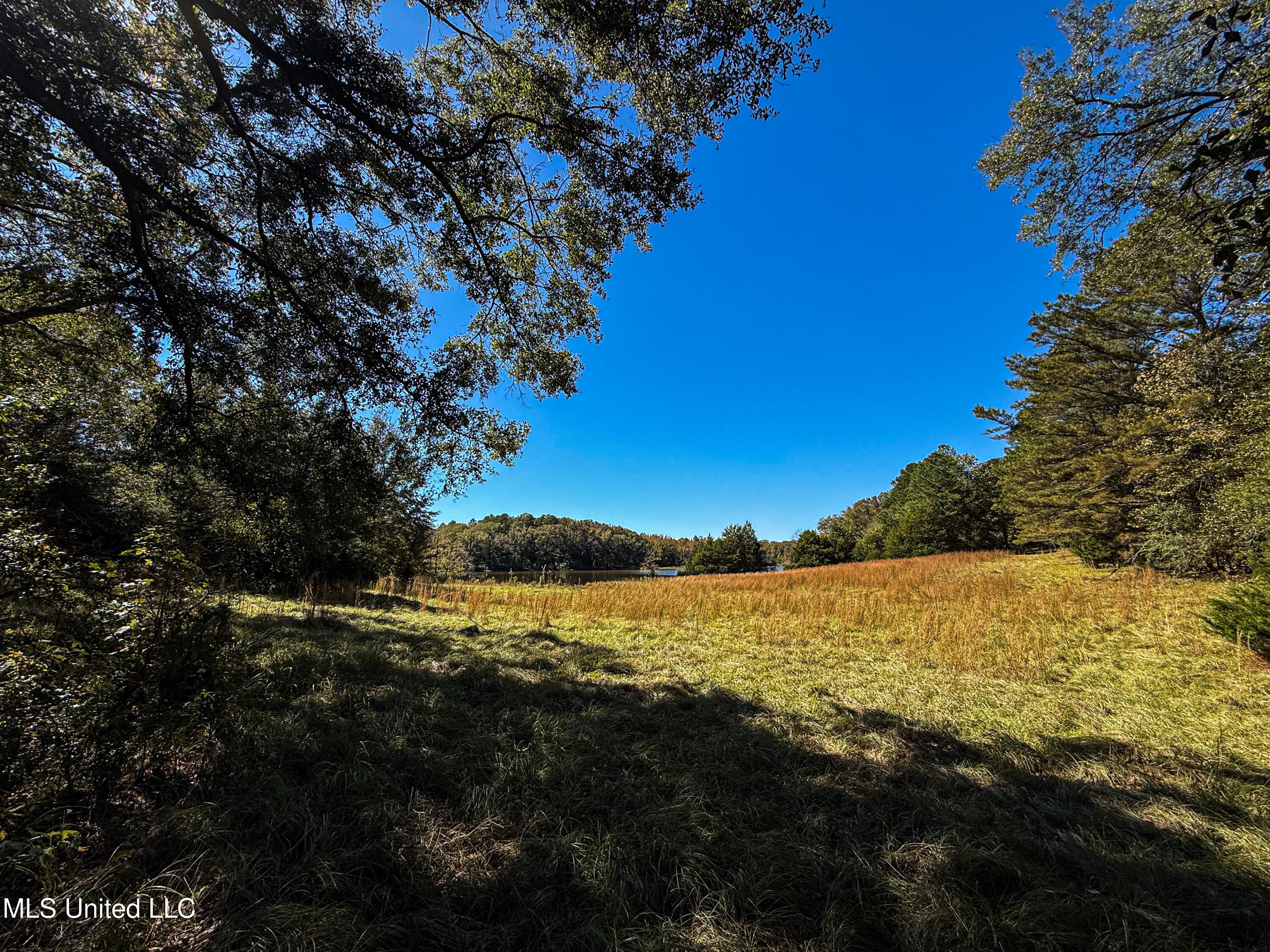 143 County Road Coila, MS 38923 - Photo 14 of 77 IMG_6831