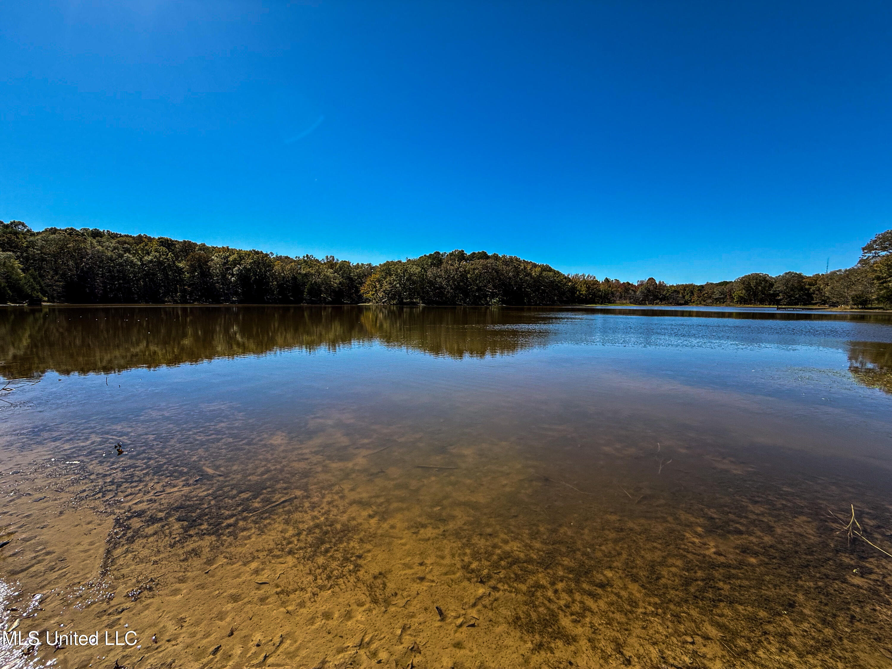 143 County Road Coila, MS 38923 - Photo 17 of 77 IMG_6832
