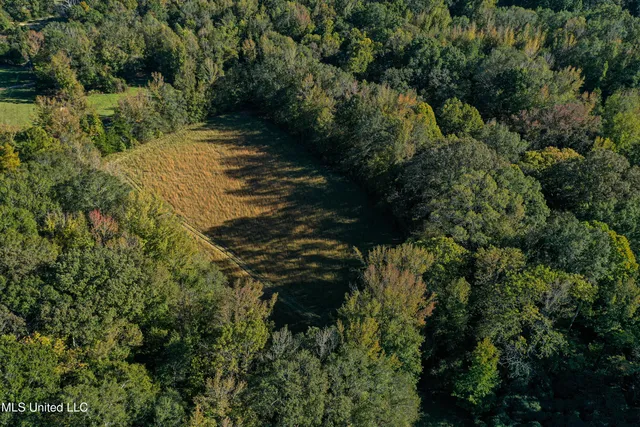 $280,000 | 143 County Road, Coila, MS 38923