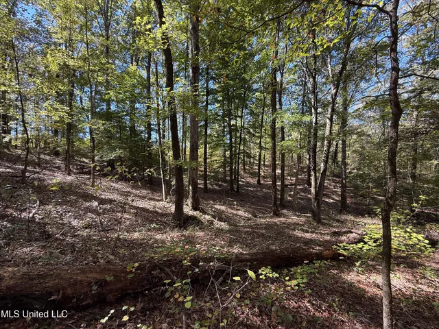 $280,000 | 143 County Road, Coila, MS 38923