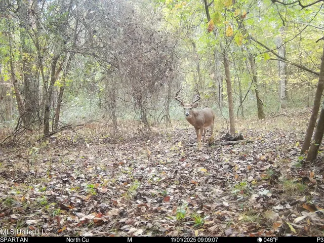 $280,000 | 143 County Road, Coila, MS 38923