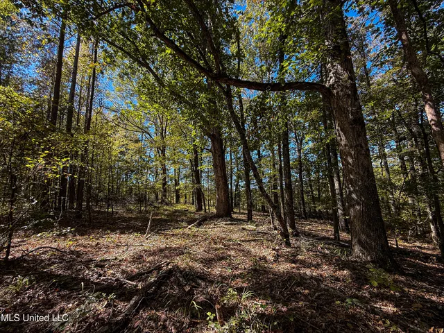 $280,000 | 143 County Road, Coila, MS 38923