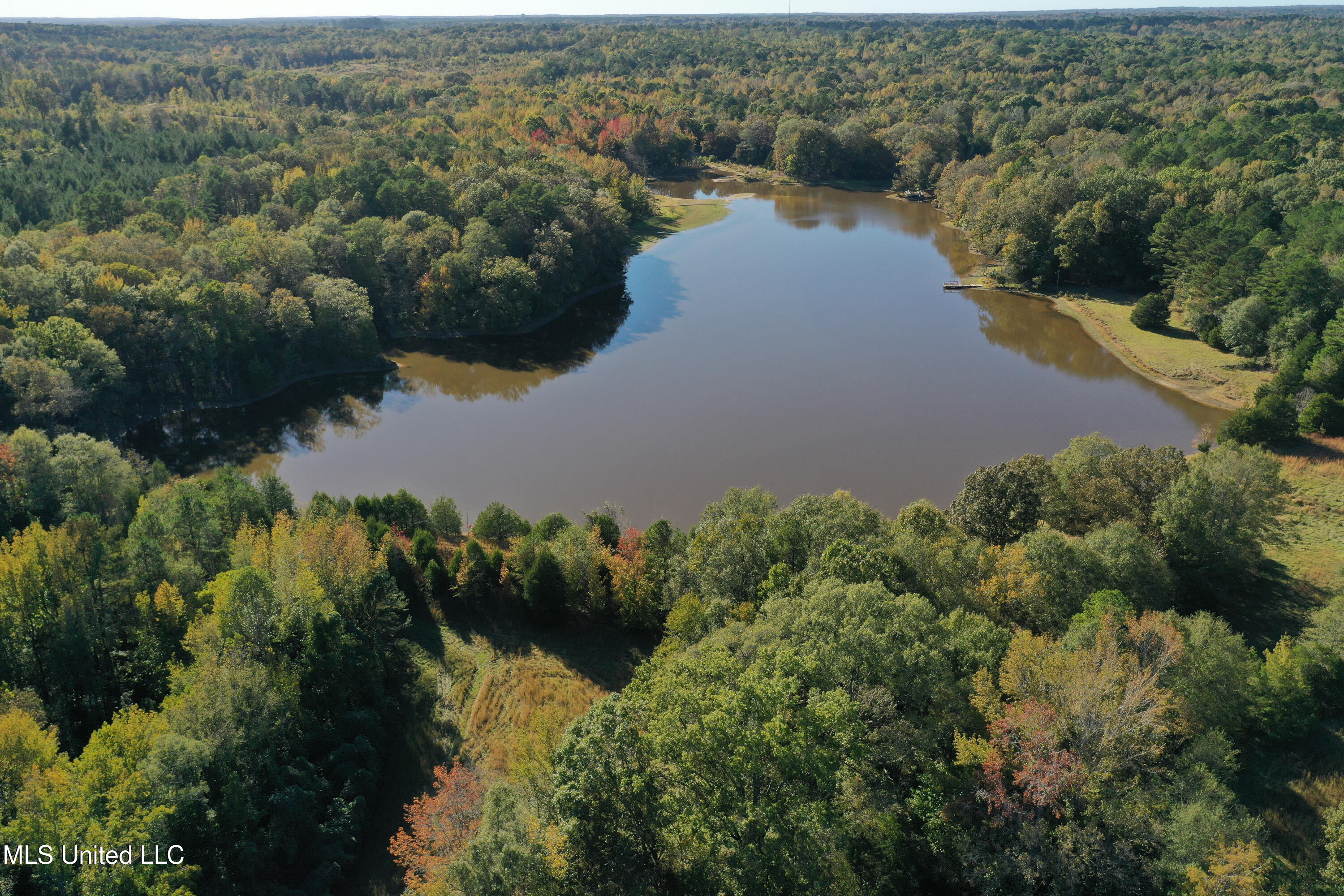 143 County Road Coila, MS 38923 - Photo 23 of 77 DJI_0461