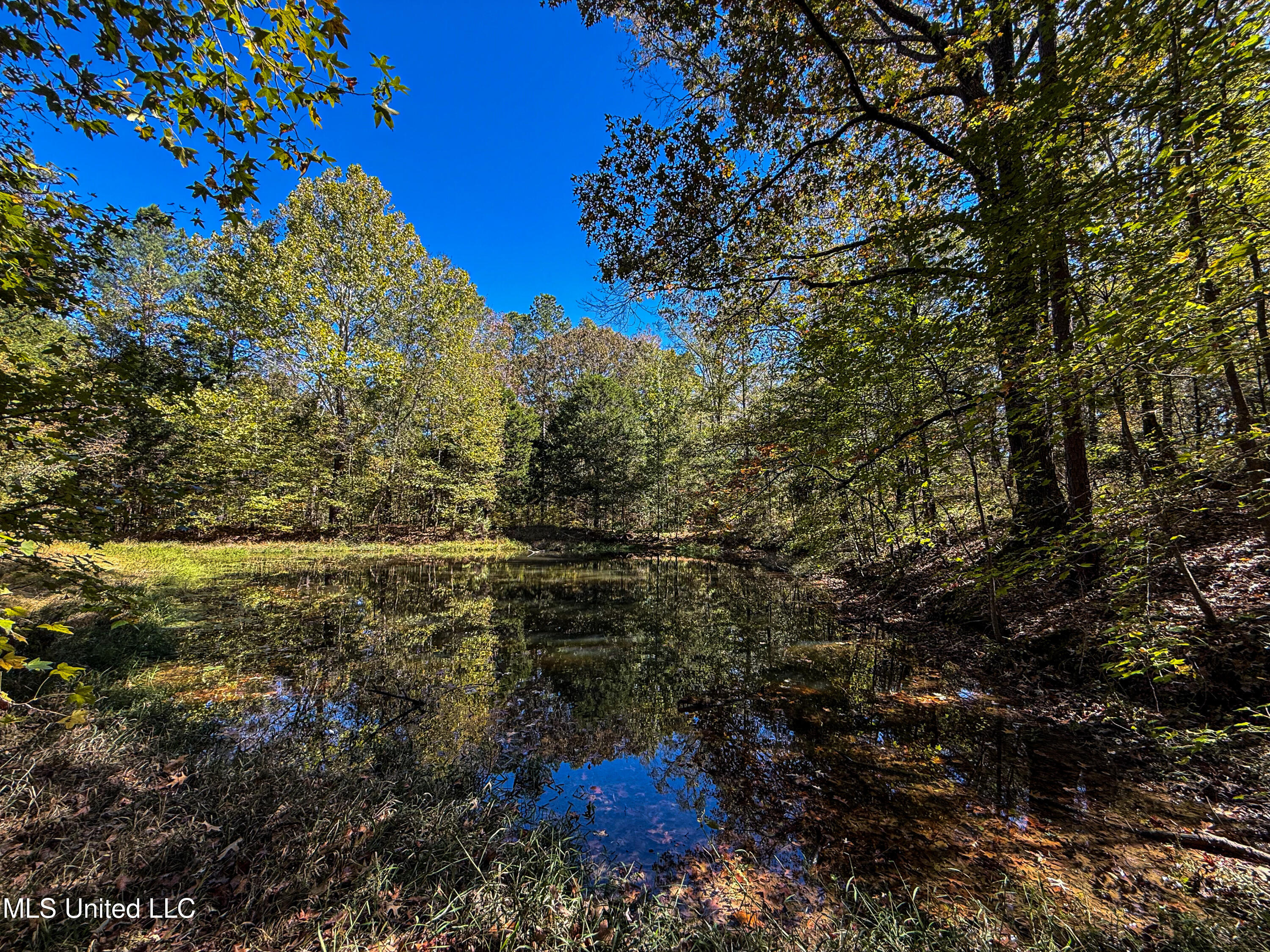 143 County Road Coila, MS 38923 - Photo 24 of 77 IMG_6839