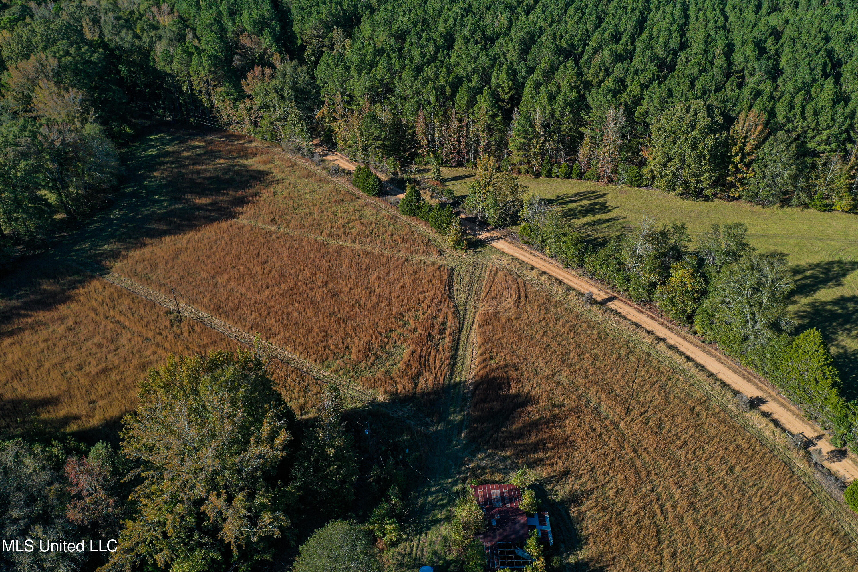 143 County Road Coila, MS 38923 - Photo 25 of 77 DJI_0462