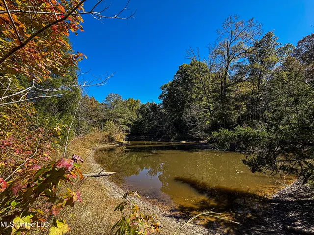 $280,000 | 143 County Road, Coila, MS 38923