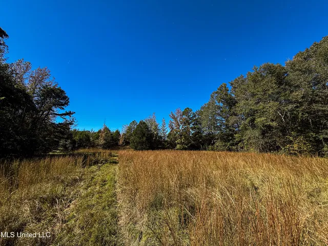 $280,000 | 143 County Road, Coila, MS 38923