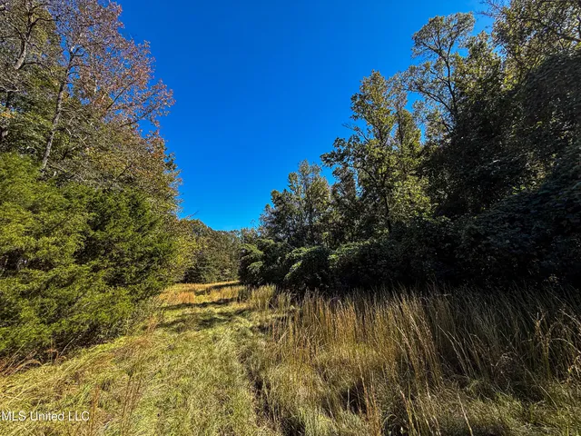 $280,000 | 143 County Road, Coila, MS 38923